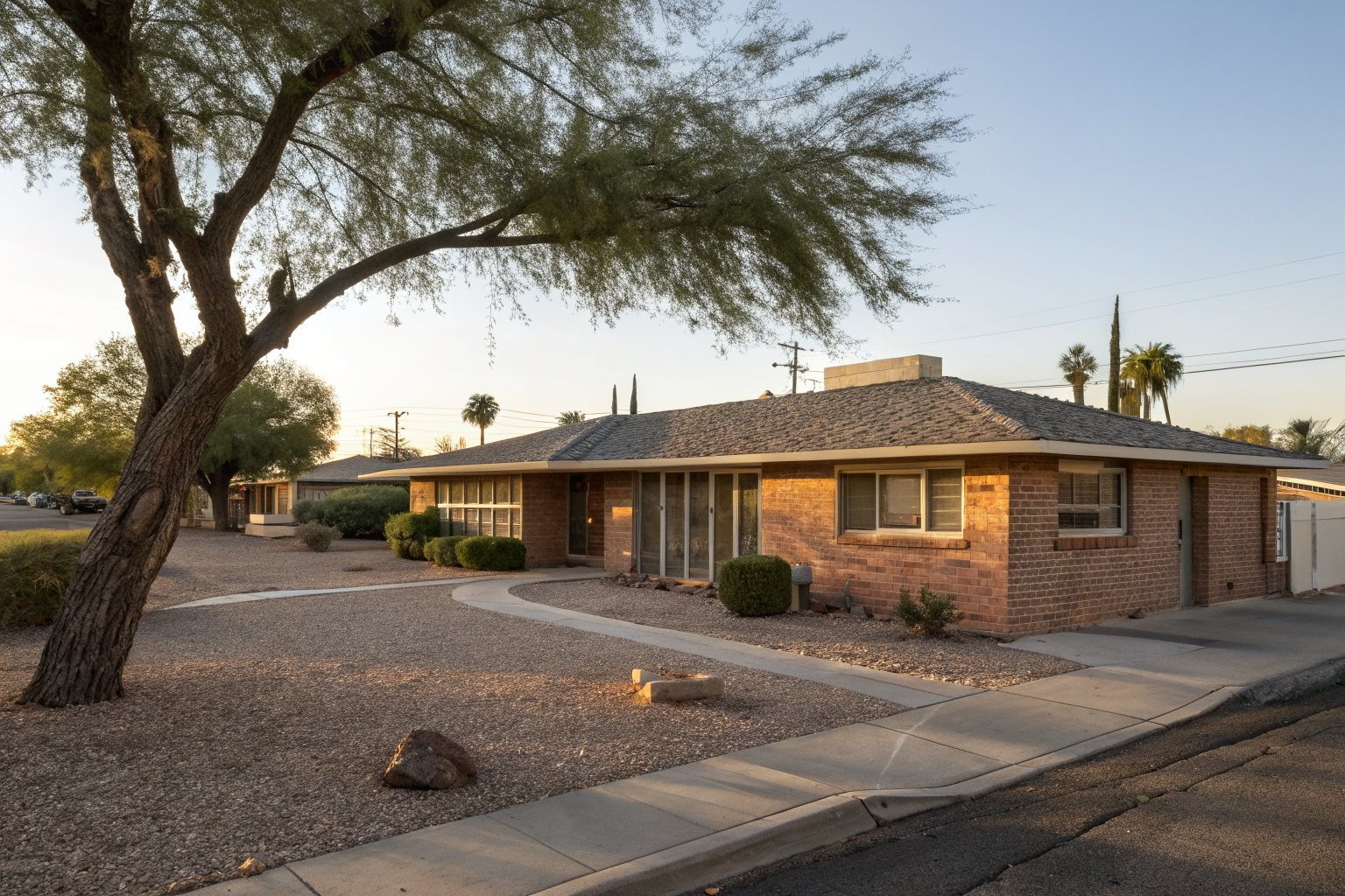 A 1950s brick ranch house with a low shingle roof and a mesquite tree in a desert yard